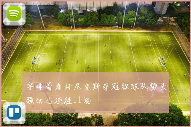 字母哥看好尼克斯夺冠称球队势头强劲已连胜11场