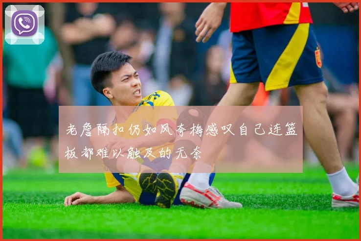 老詹隔扣仍如风夸梅感叹自己连篮板都难以触及的无奈