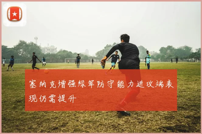 塞纳克增强绿军防守能力进攻端表现仍需提升